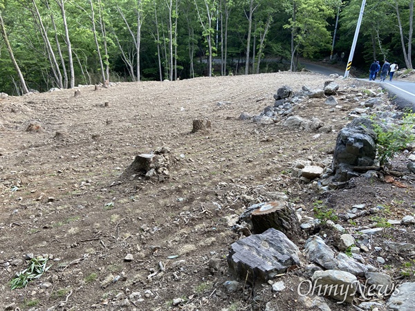 김해장유 대청계곡의 장유폭포 위쪽에 유적 발굴을 위해 벌목을 한 현장.