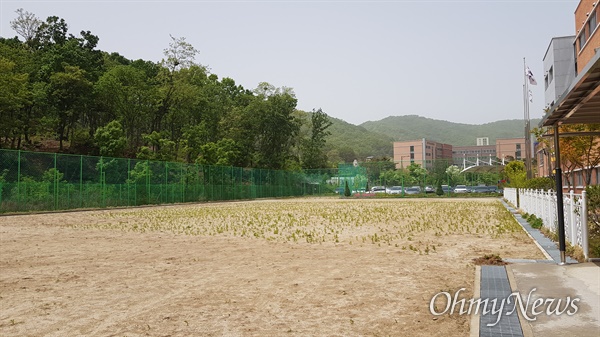 골대와 철봉 등 운동기구가 없어 풀만 자라는 운동장. 