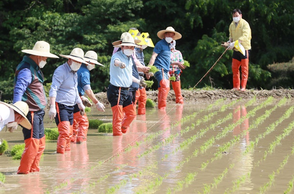  12일 오후 지리산 자락인 경남 함양군 마천면 도마마을에서 다랑이논 국가주요농업유산 등재를 위한 전통방식의 모내기 체험이 진행되고 있다.