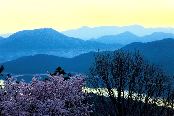  마산동산성의 정면쪽 풍경