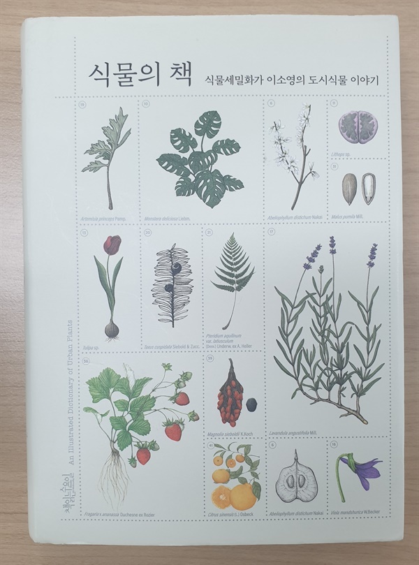 식물세밀화가 이소영이 쓴 도시 식물에 관한 책이다.