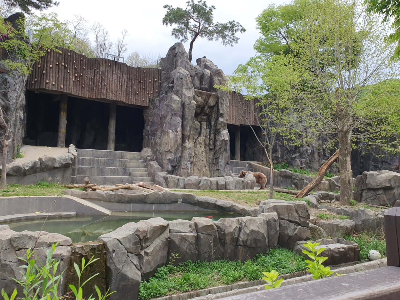본래 서울 창경원에 위치한 동물원은 창경궁으로 새롭게 복원을 결정하며 지금의 위치에 욺기게 되었다. 한국에서 가장 큰 동물원이며 지금도 서울시에서 관리를 맡고 있다.