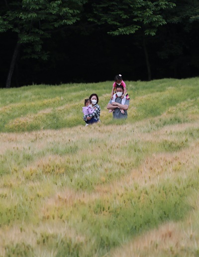 함양 상림공원 청보리밭.