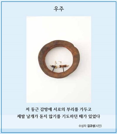 김규성 시인의 디카시 <우주>.