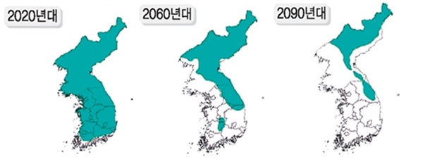 2060년경 강원도 고산지역, 전북·충북 일부 지역 제외하고 남한지역에서는 소나무 군락이 고사 / 2090년경 자강도, 양강도, 함경도, 강원 일부 지역 제외하고는 소나무 군락 고사할 것이 예상(국립산림과학원)