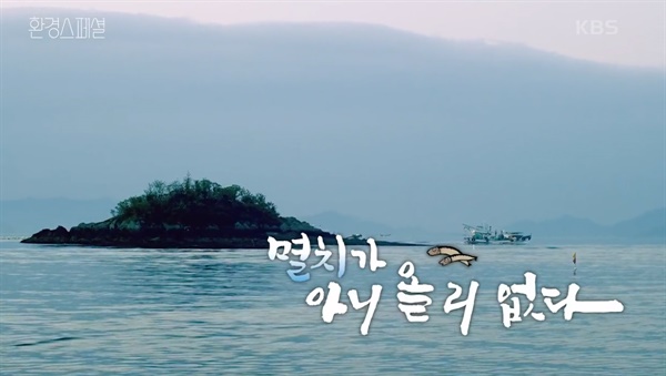  지난 20일 방송된 KBS2 <환경스페셜> '멸치가 아니 올 리 없다'의 한 장면