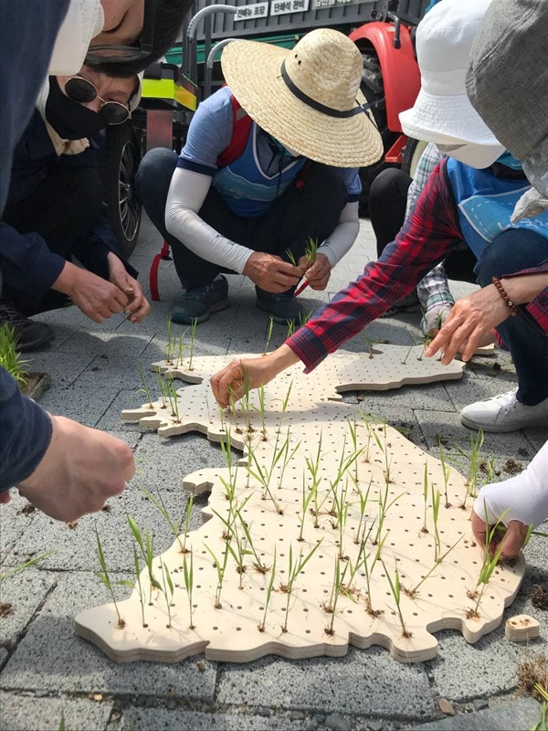 김천농민회 농민들이 한반도 모양 모판에 통일모를 심는 퍼포먼스를 선보이고 있다.