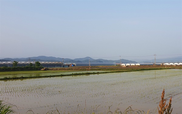 모내기기 끝나가고 있다. 야단법석을 떨던 예전과 달리 농번기기 순식간에 지나간다. 