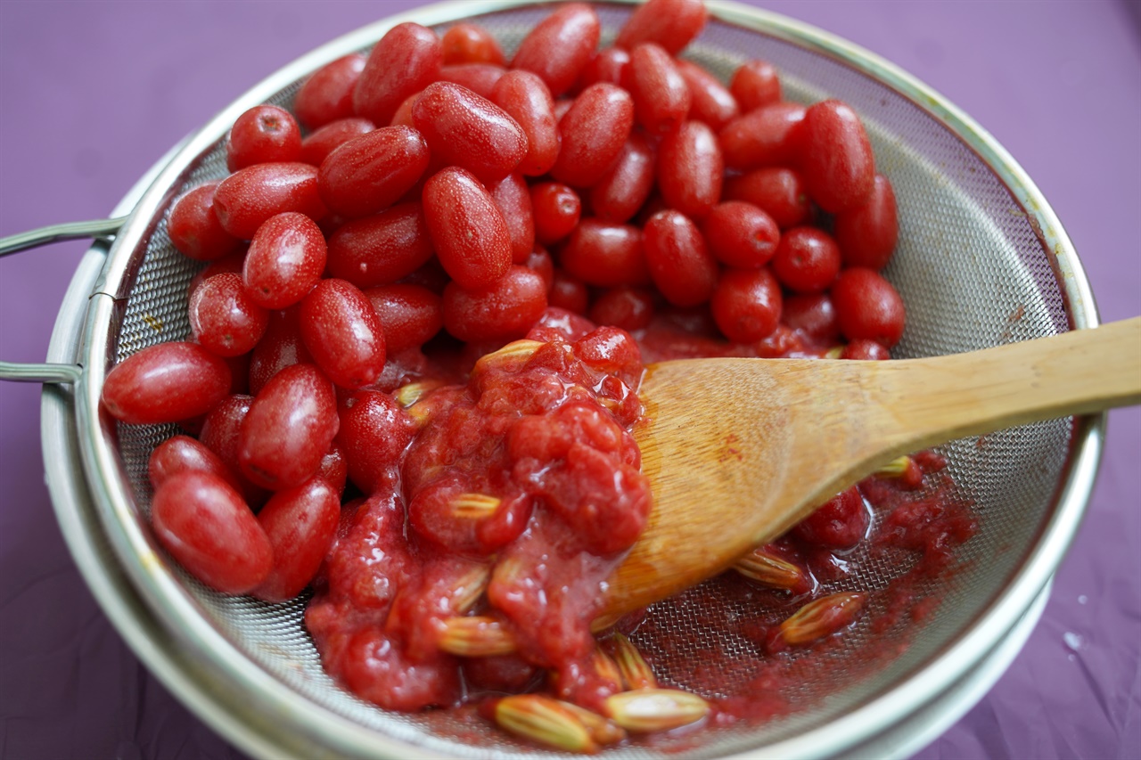 보리수나무 열매인 '보리똥'은 시고 떫은 맛이 강해서 잼으로 잘 만들어 먹지는 않는다.