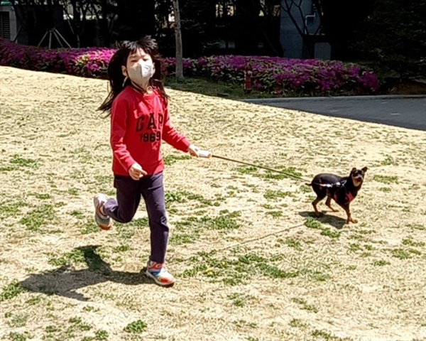 아이와 산책하며 뛰고 있는 초코의 모습