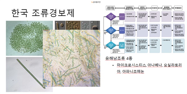 이승준 교수가 보여준 시아노박테리아와 플랭크토트릭스의 모습