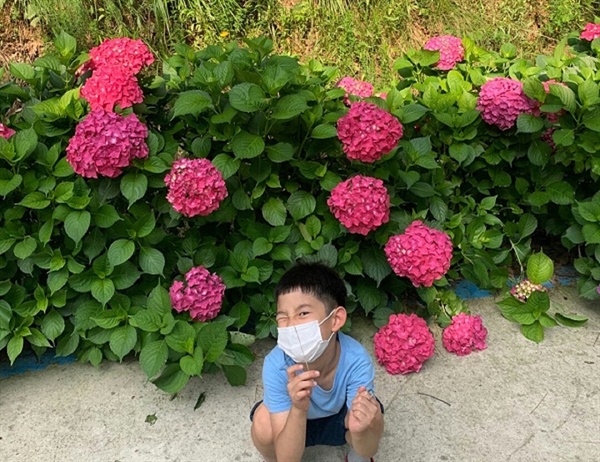 
수국 꽃 앞에서 포즈를 취하고 있는 어린이의 표정이 해맑고 귀엽습니다

