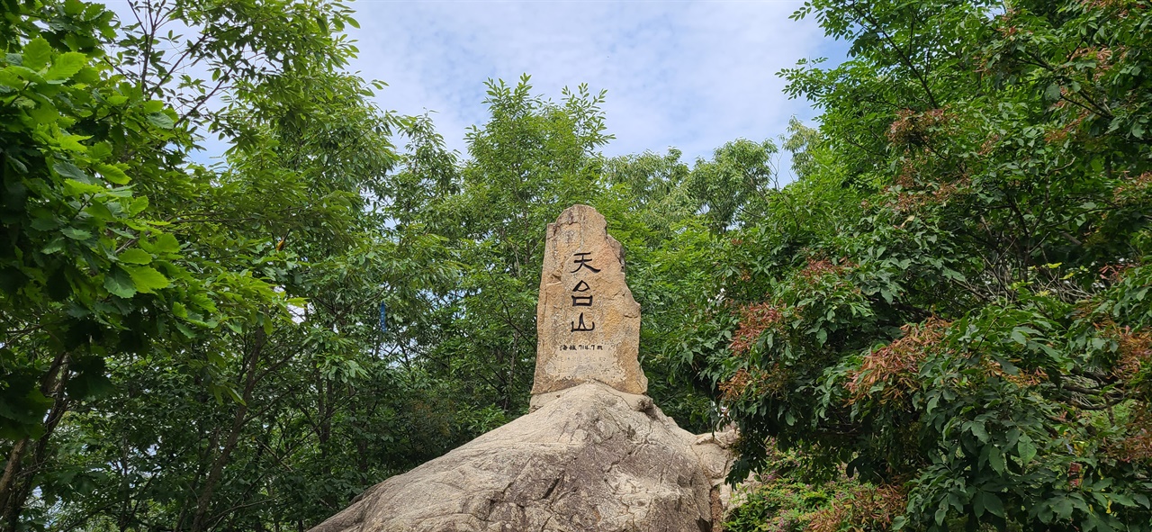   우거진 나뭇잎이 정상석을 에워싸고 있었다. 하늘만 보였다.