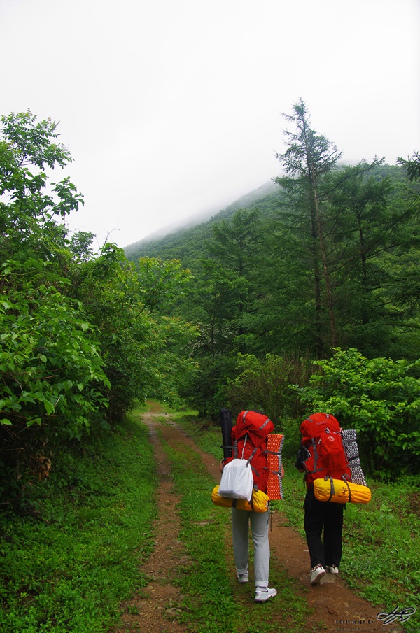 산속으로 비가 오락가락 하는 와중 안개에 싸인 산속으로 학생들이 걸어가고 있다.