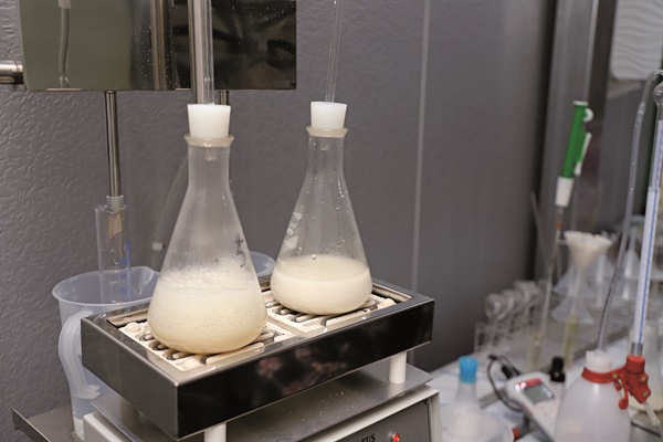 과천도가 실험실에서는 에탄올 함량 점검 등 막걸리 생산 준비가 한창이다.