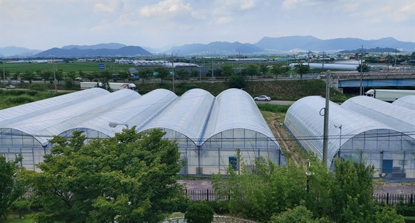  김해시 화목동에 들어선 '청년농업인 경영실습 임대농장;.