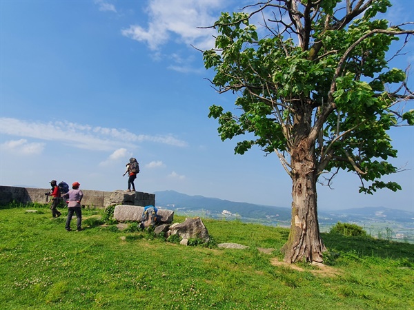죽주산성을 대표하는 경관인 포루와 오동나무에서는 아름다운 경치와 이색적인 풍광을 만끽 할 수 있다.