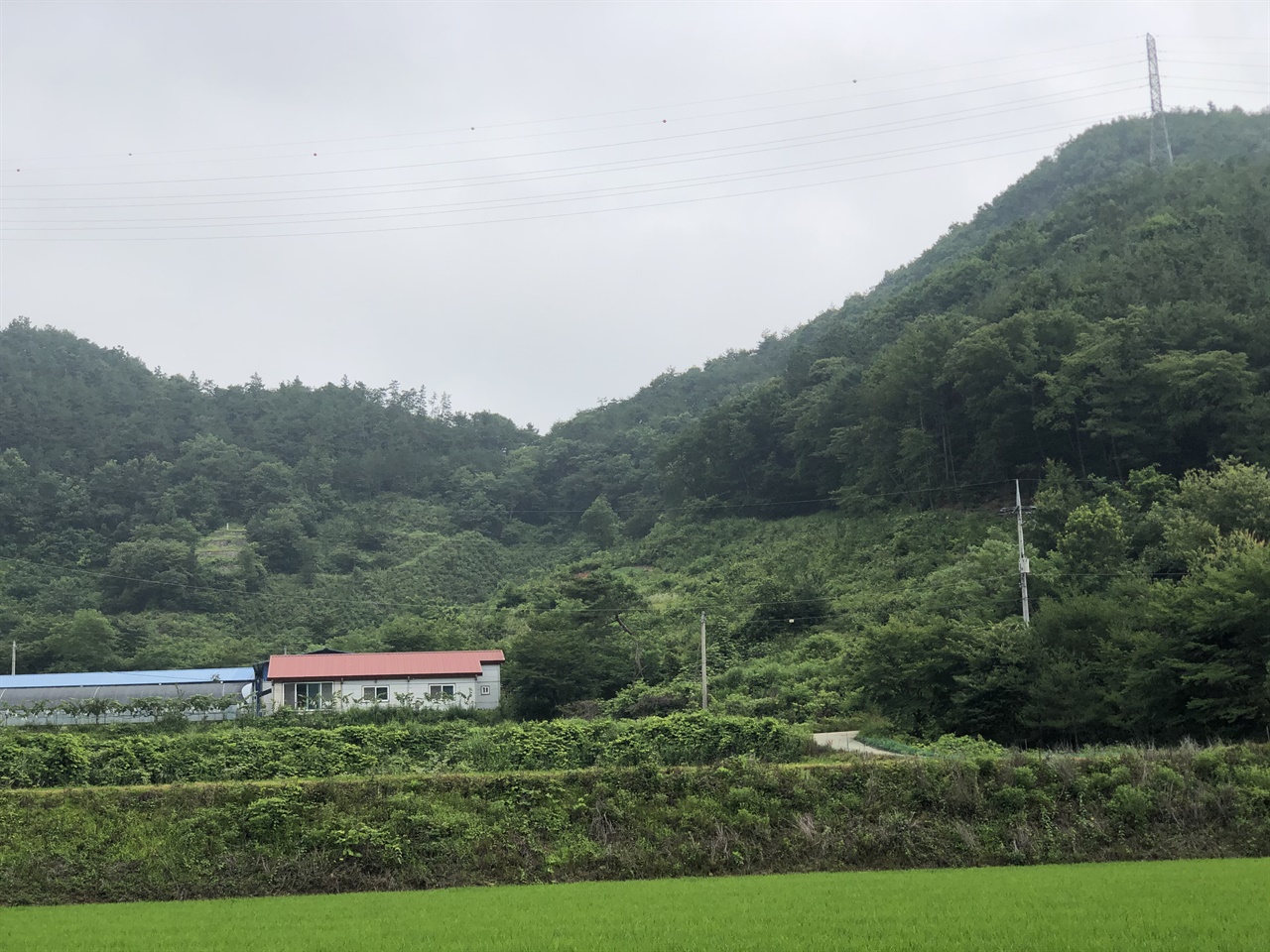 산마루의 잘록한 지형의 고개를 곧바로 넘었을 옛길은 흔적이 없고, 임도가 숲속에 비스듬히 길을 이루며 나있다. 