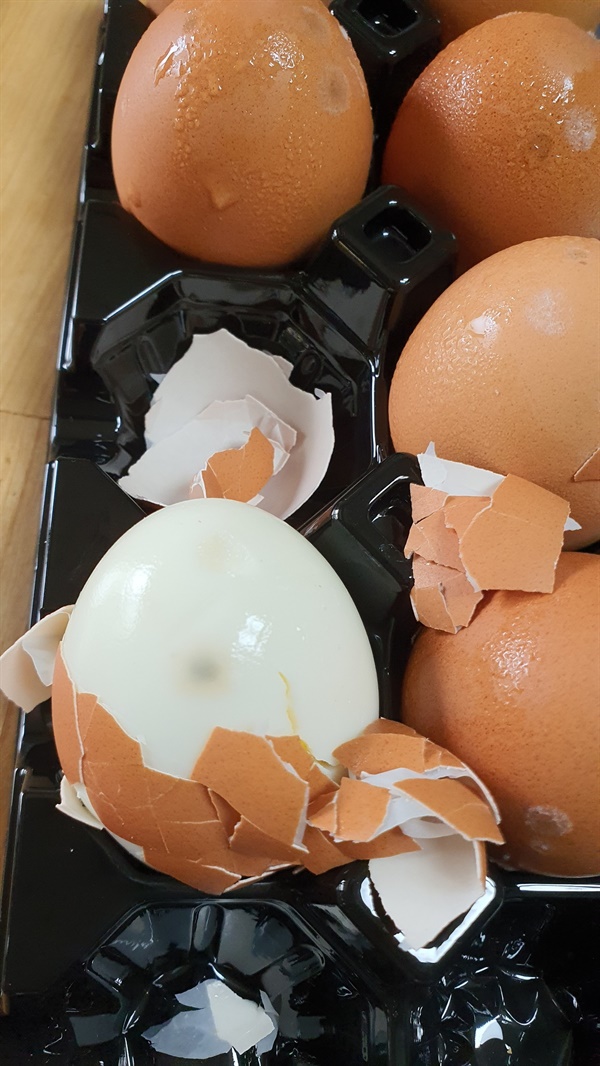 대형마트에서 구입한 계란에 곰팡이가 피어있다.