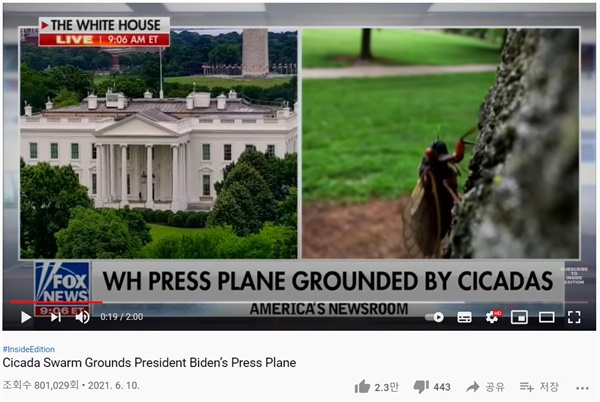조바이든 대통령 영국 순방 동행 취재단 비행기가 17년 주기매미때문에 출발이 지연되었다는 소식을 전하는 미국 폭스 뉴스
