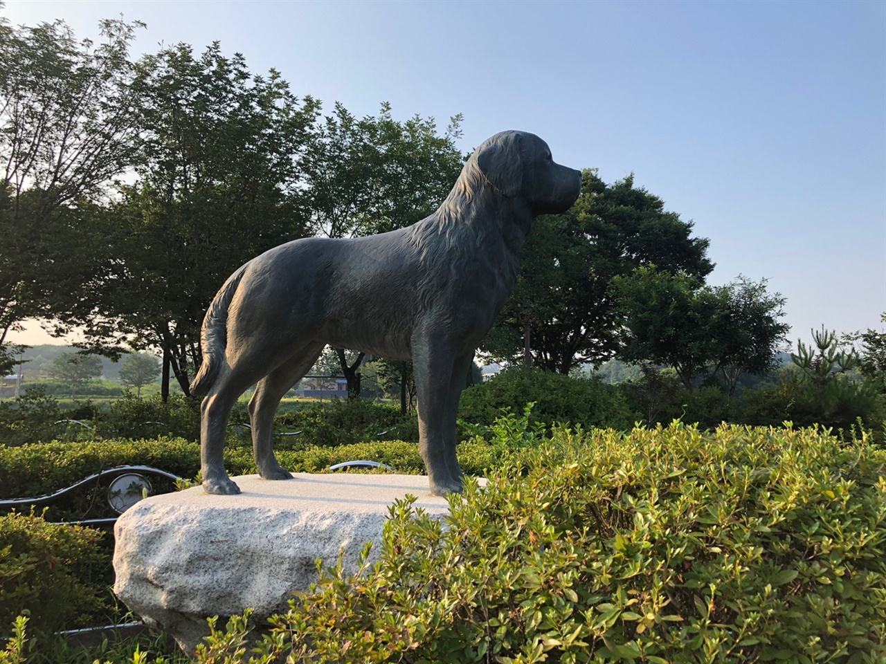 의견공원 배리 이 개는 알프스산맥에서 12년 동안 40여 명의 조난자를 구출하였다.
