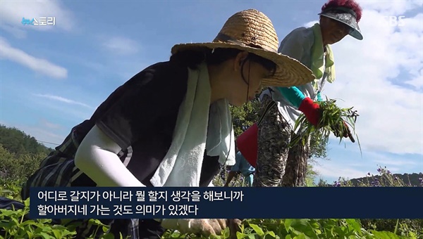  SBS <뉴스토리> '코로나가 바꾼 나만의 휴가' 편의 한 장면.