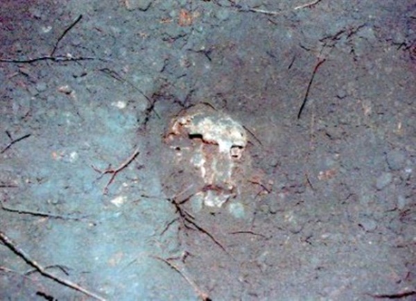 당시 발굴된 유골은 두개골 2개와 두개골이 발견되지 않은 3구가 엉킨 형태로 정강이와 주변의 뼈들이었다.