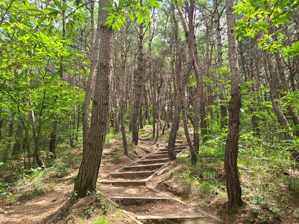 진주 월아산 등산로.