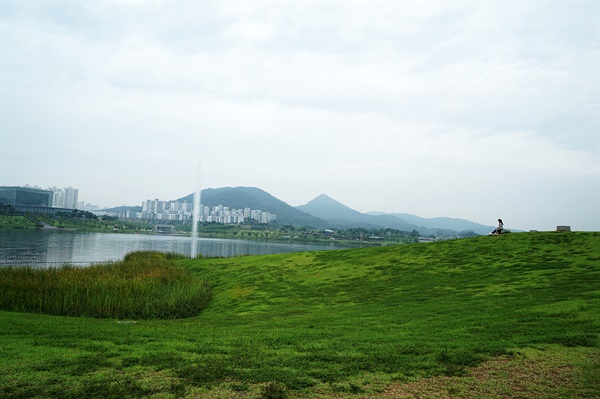 노무현공원 위 언덕과 호수공원 풍경