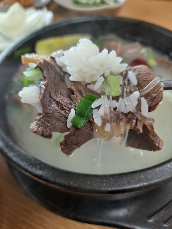  강진 여행길에 아침이 먹고 싶다면 주저 없이 찾아가도 될 만한 맛있는 소머리국밥이다. 