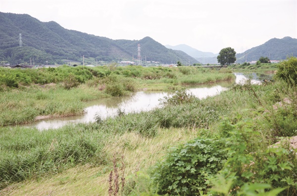  사정리 앞 서화천(충북 금산군 금성면 금성산 발원)