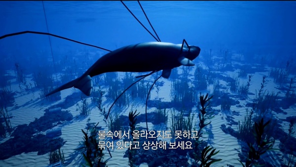 스크린샷: 어업장비(수직밧줄)에 걸려든 참고래의 모습. 