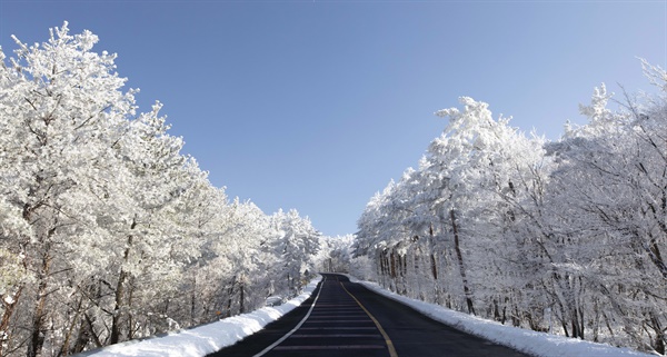 한라산 등산코스의 하나인 어리목 가는 길에 눈이 내려 멋진 설경을 보여준다.