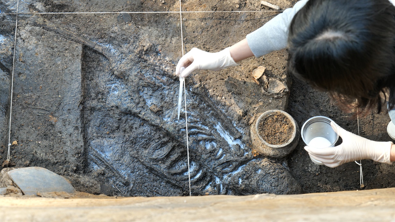 월성 서성벽 구간에서 발견된 인골에 경화처리를 하고 있다. 