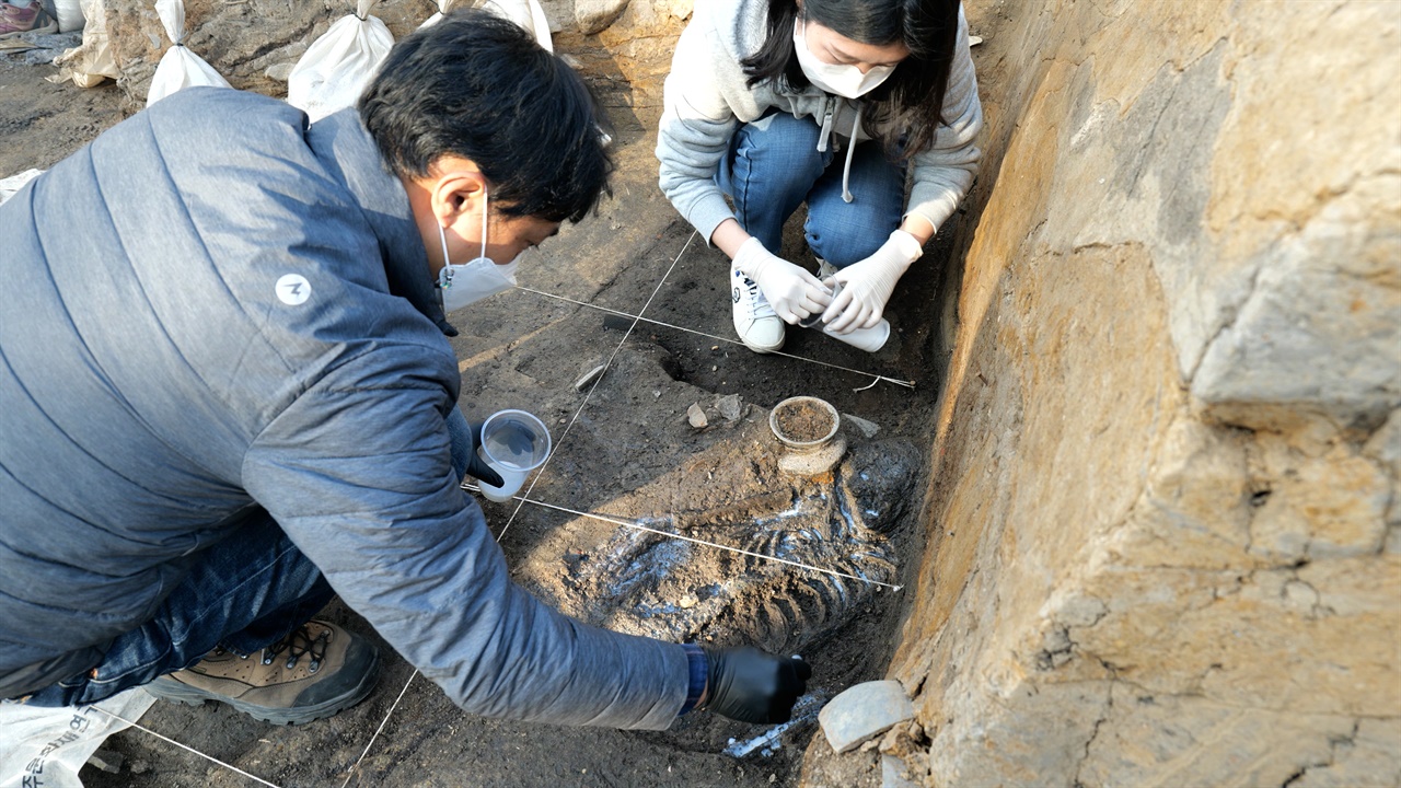 국립경주문화재연구소 학예연구사가 월성 서성벽 구간에서 발견된 인골에 경화처리를 하고 있다. 