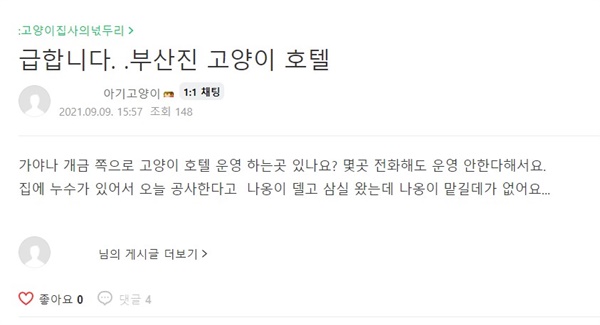 한 집사카페에 올라온 게시글. 나와 같은 상황에 처한 집사들의 넋두리를 쉽게 확인 할 수 있었다. 