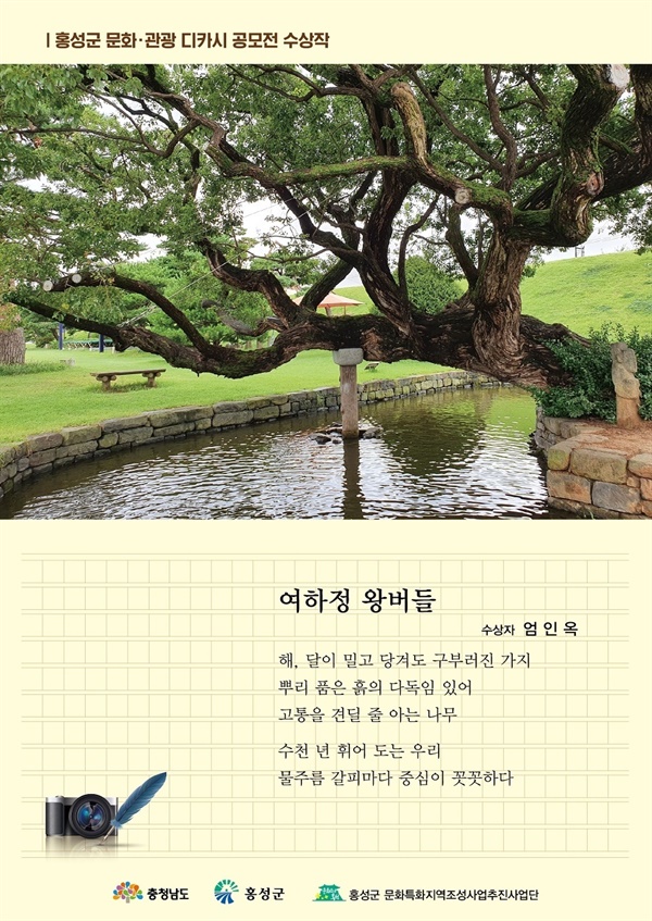 지난해 홍성군문화특화사업단에서 개최한 디카시 공모전에서 대상을 수상한 '여하정 왕버들'. 오랜 세월 견뎌온 시간들에 대한 표현이 좋으며 고통과 나무의 연결이 매우 돋보인다는 호평을 얻었다.