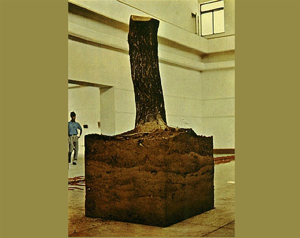 이건용 I '신체항(Corporal Term)' 나무, 흙 국립현대미술관-경복궁전시장 1971