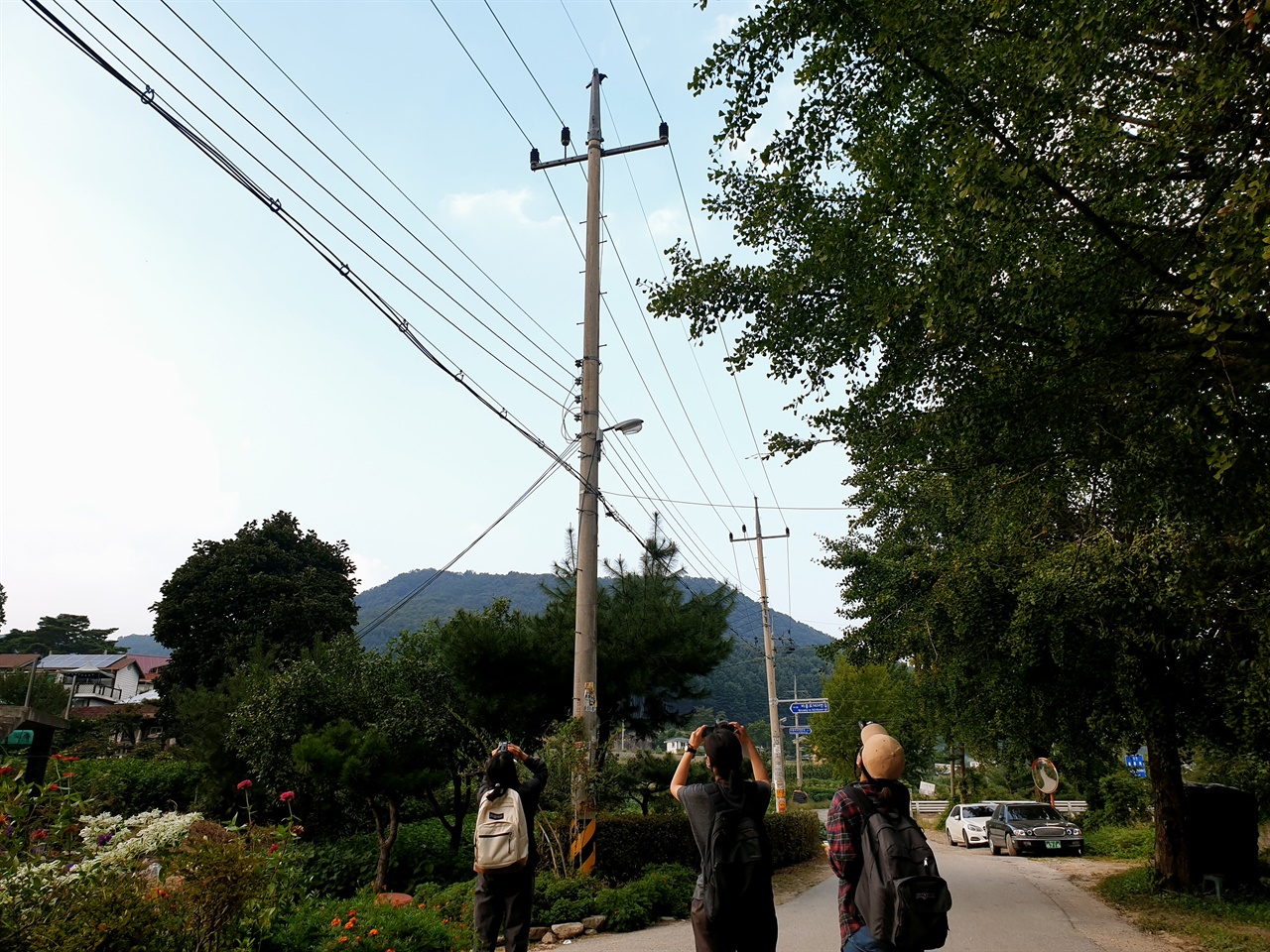 쌍안경으로 새를 보고 있는 어스링스팀