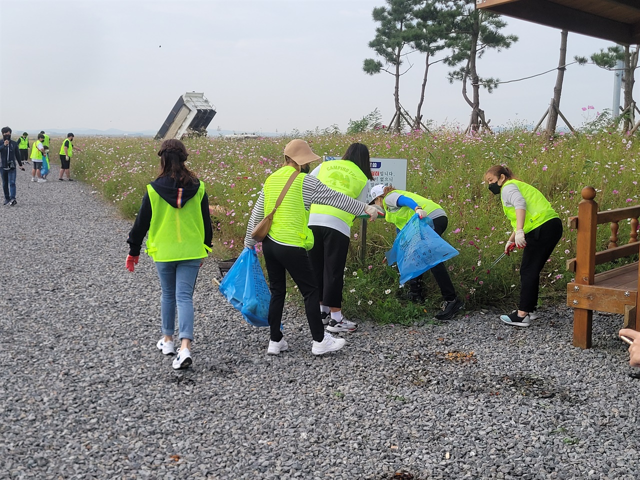 자원봉사자들이 간월호 코스모스길에 버려진 쓰레기를 치우기 위해 직접 나섰다