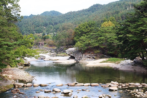 경남 거창 수승대의 명물 거북바위 모습