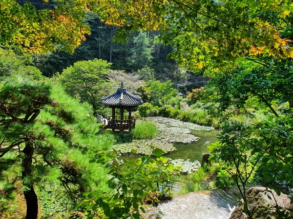 서화연의 풍경 곡선과 여백으로 표현되는 한국정원의 진수를 보여주는 장소로 연못의 각도에 따라 각기 다른 풍경을 보여준다.