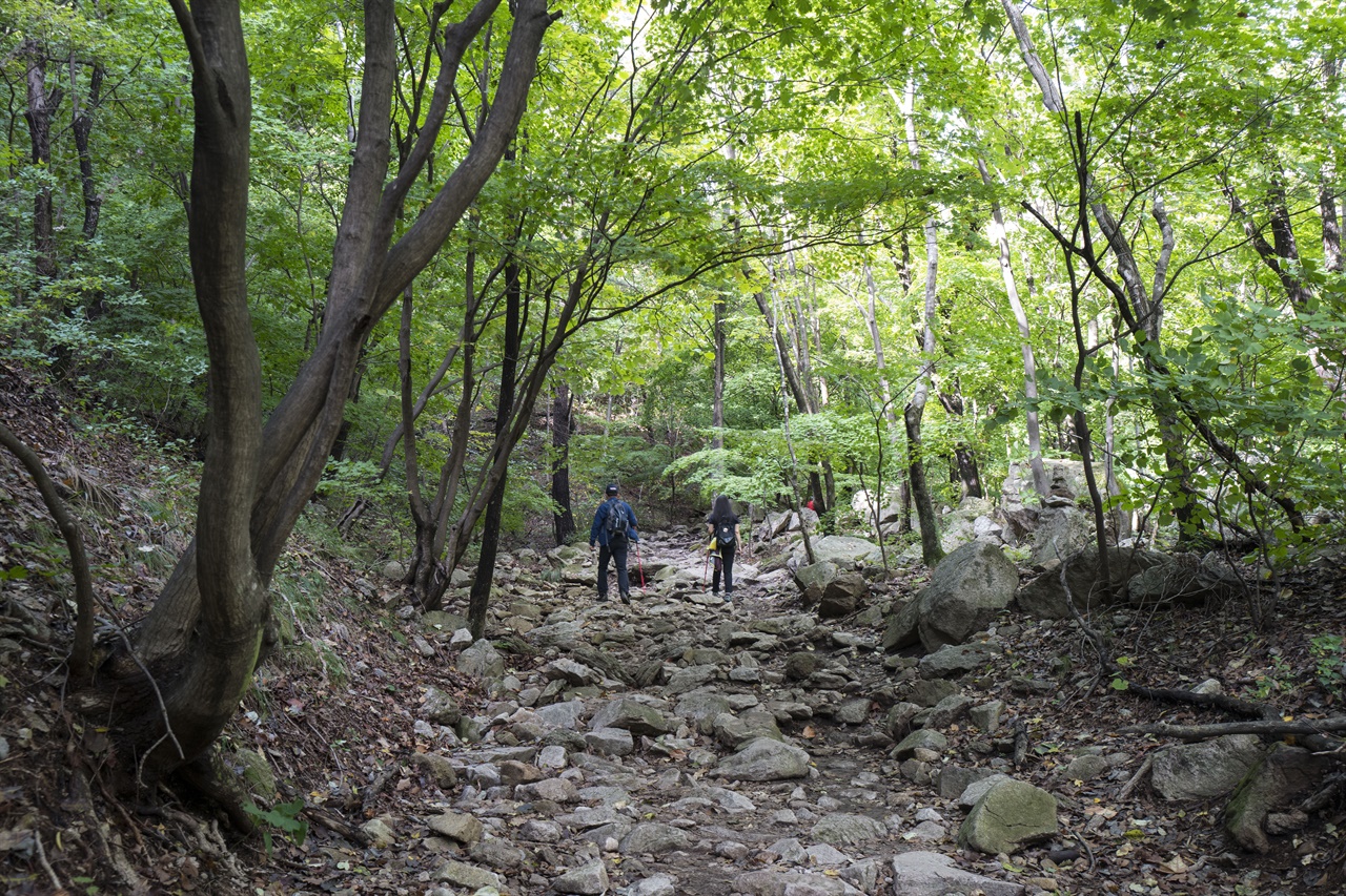 명성산은 돌이 많은 산이다. 