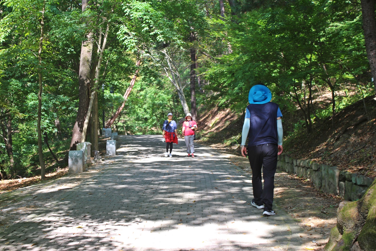 충남 부여 부소산성, 가을철 걷기 좋은 산책길인 '아름다운 소나무 숲길' 모습