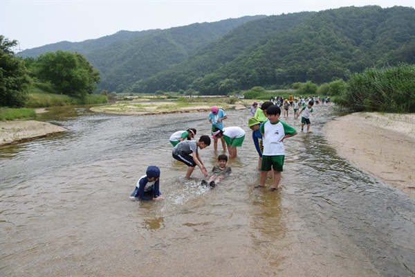 2016년 6월 9일 대구의 도원초등학교 아이들이 대구환경운동연합이 마련한 내성천 물길걷기 프로그램에 참여해 내성천을 걷고 있다.