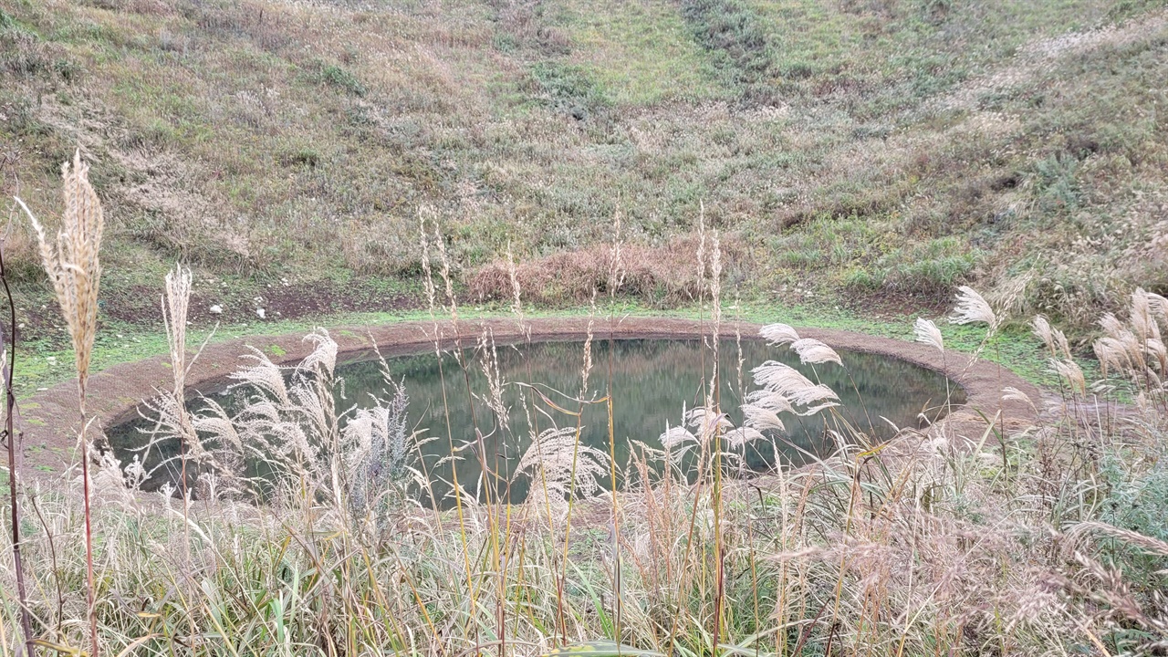 큰 연못같다. 물이 맑아 거울처럼 억새를 비춘다