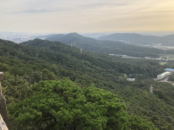  앵봉산 정상에서 바라본 봉산 전경