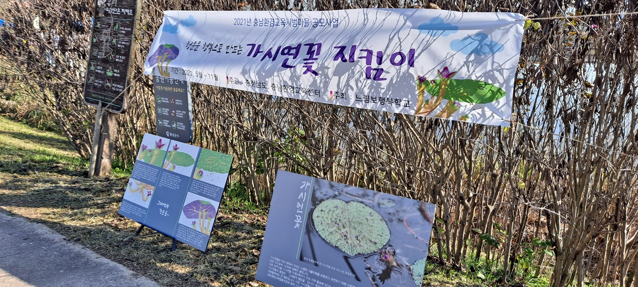 역재방죽 가시연꽃 지킴이 현수막 