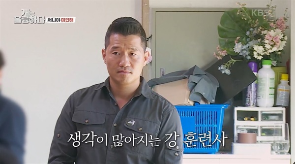  KBS 2TV <개는 훌륭하다>의 한 장면