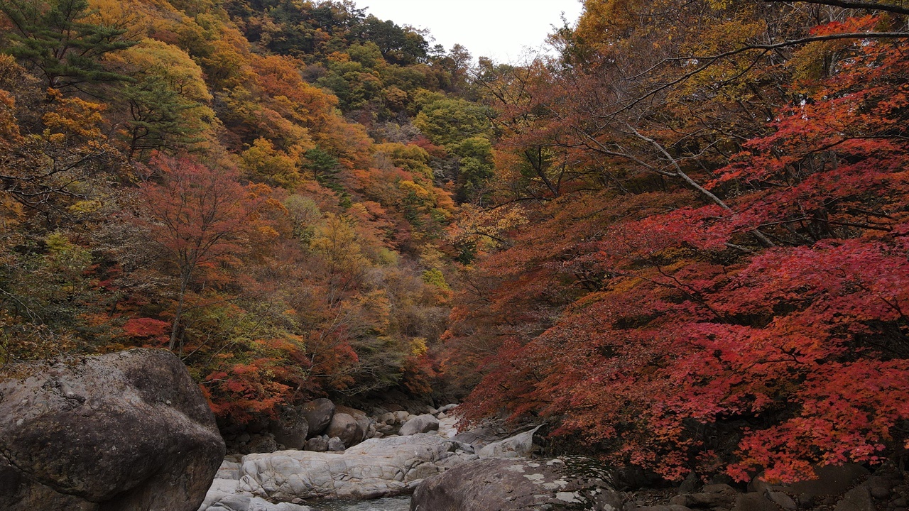  지리산 칠선계곡의 단풍은 붉다